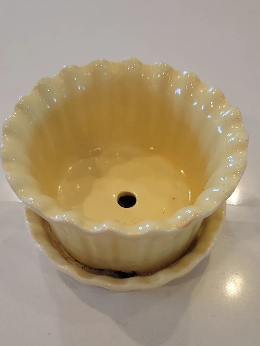 Vintage Buttercup Yellow Ceramic Scalloped Planter with Saucer